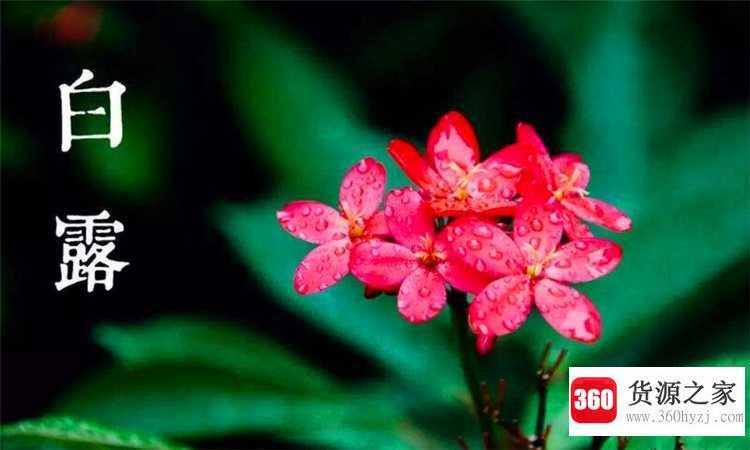 白露是什么季节