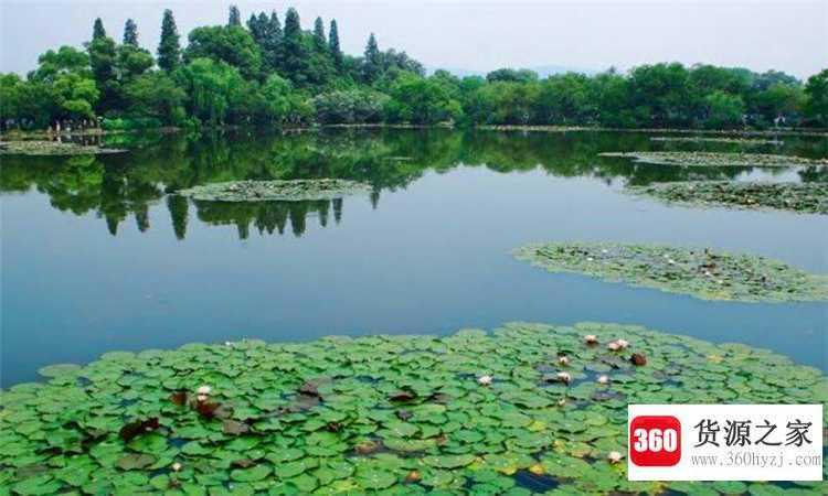 杭州主城区是哪个区