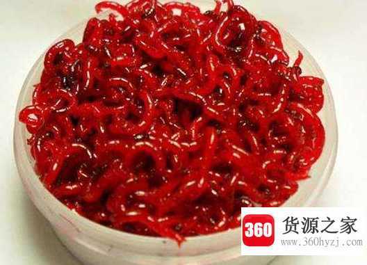 红虫是什么
