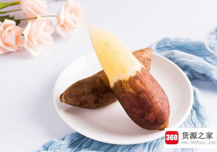 雪莲果是什么