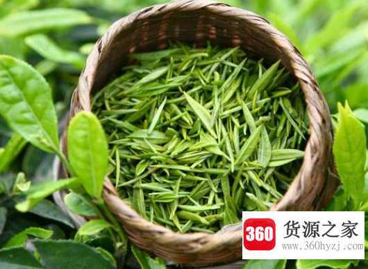 红茶和绿茶的区别