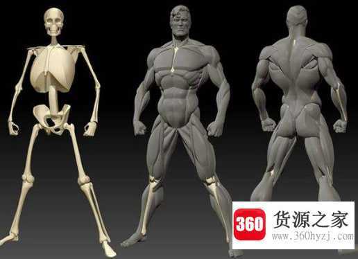 人体的三通是指哪三通
