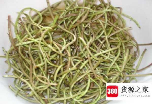 野菜的种类