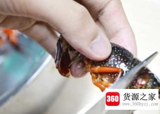龙虾怎么洗