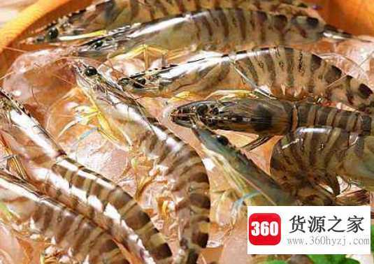 车虾和基围虾的区别
