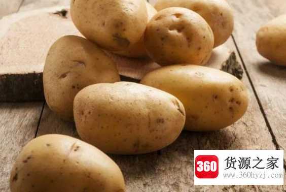 主食有哪些品种