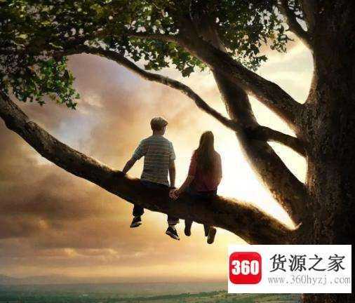 斯人若彩虹出自哪里