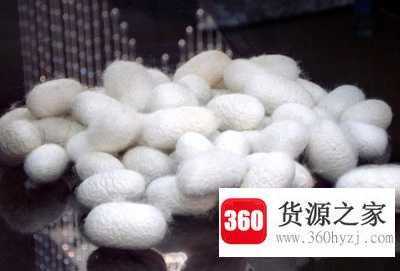桑蚕丝面料分哪些种类