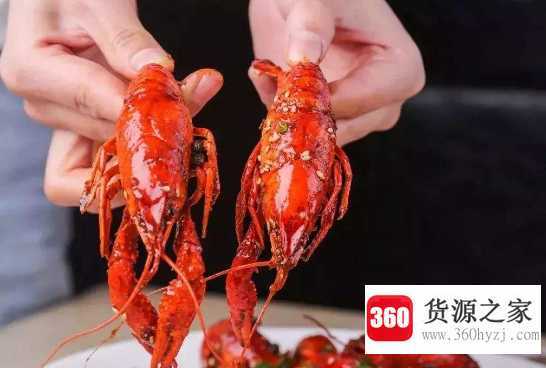 龙虾仁怎么保存