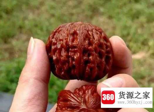 文玩核桃里的虫卵怎么去除