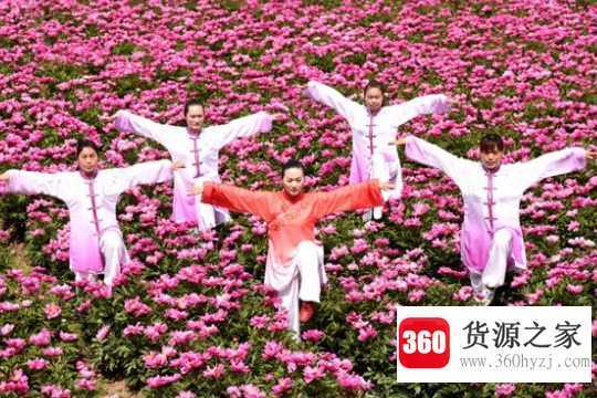 五禽戏先后顺序