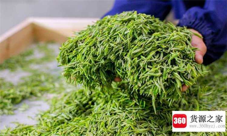 信阳毛尖是绿茶吗