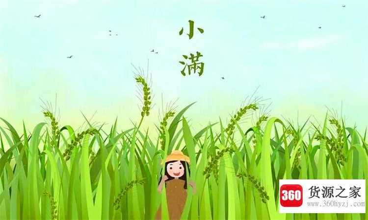 小满是什么意思