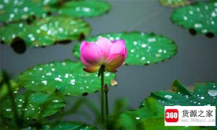 梅雨季节是什么时候