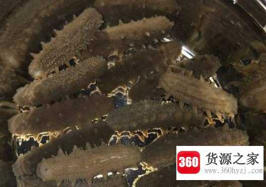 怎样发海参
