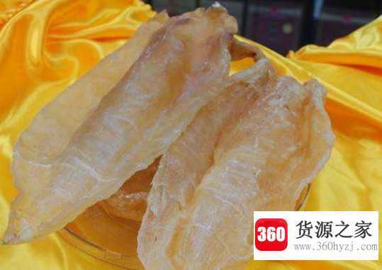 花胶是什么