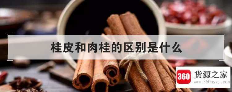 桂皮和肉桂的区别是什么