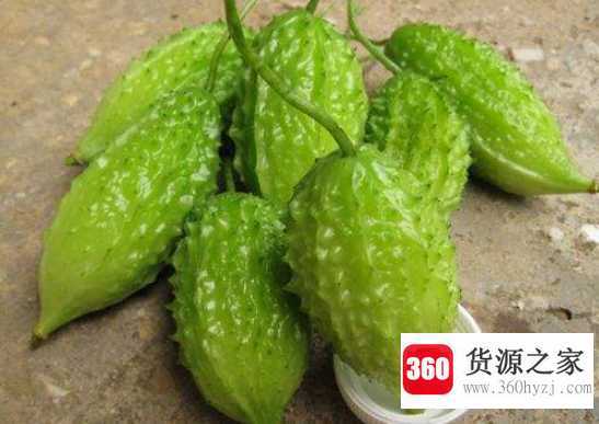 小癞瓜有什么营养