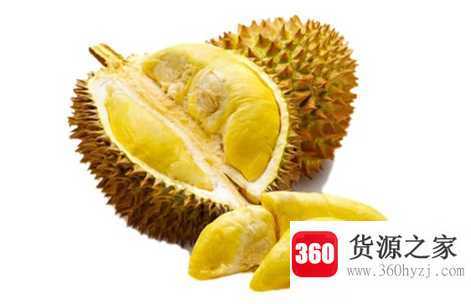 金枕头榴莲怎么挑