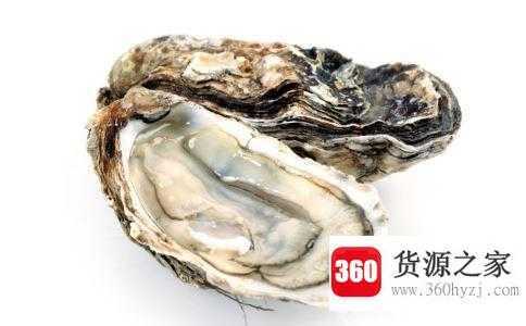 牡蛎和生蚝有什么区别
