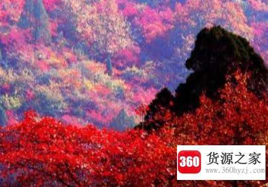 香山红叶什么时间最红