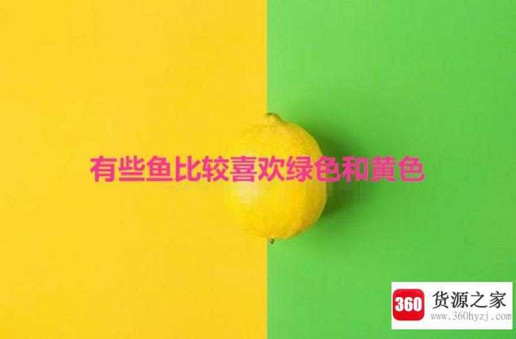鱼是不是色盲