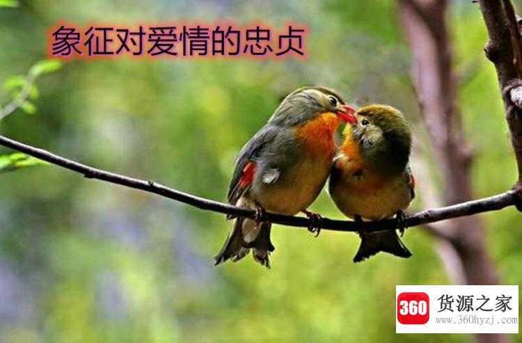 背过手什么意思