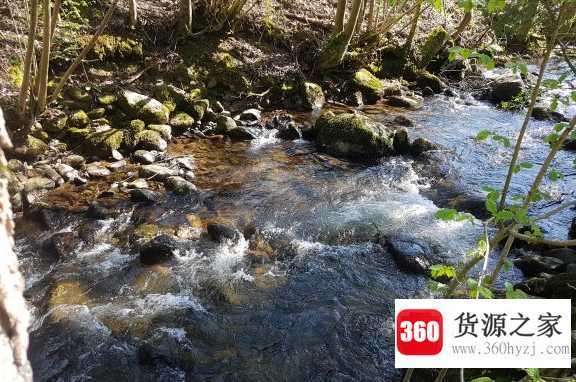 小石潭记原文及翻译