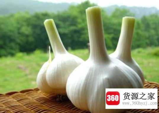 大蒜发霉了还可以吃吗