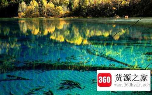 川v牌照是什么地方的车牌