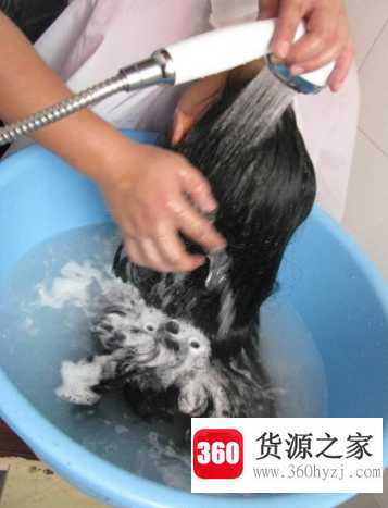 怎么洗头才是正确的
