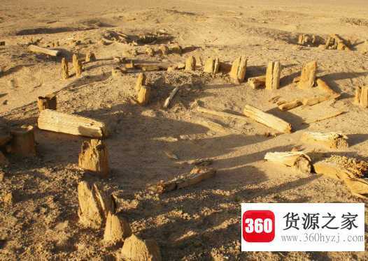 楼兰古国为什么会消失