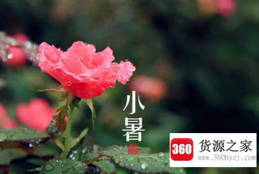 大暑和小暑是什么意思