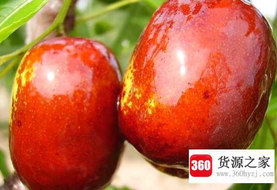 食用鲜枣有什么好处