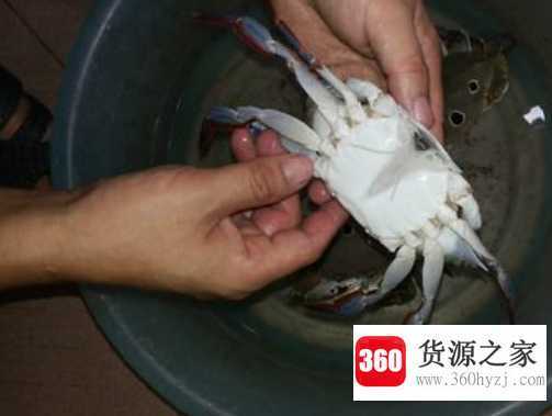 螃蟹怎么洗干净