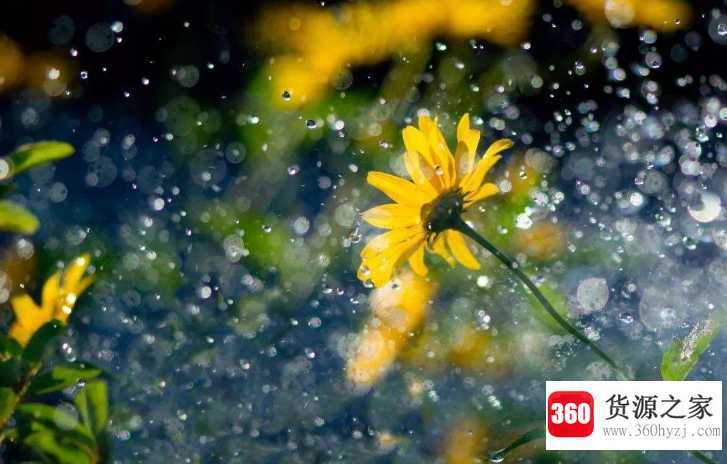 秋雨的特点是什么