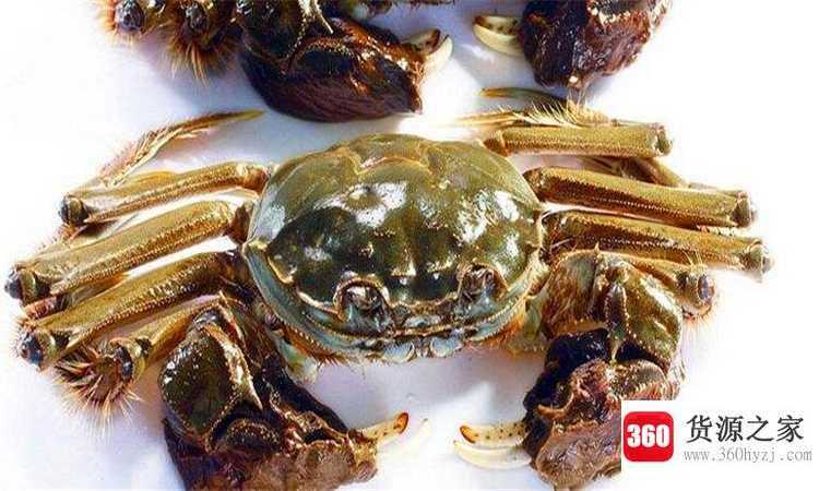 河蟹不能和什么一起吃