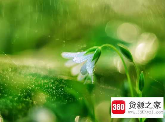 雨水是酸性还是碱性