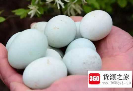 乌鸡蛋和普通鸡蛋的区别
