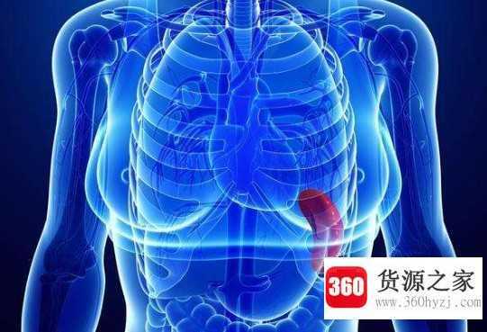 脾的四大功能