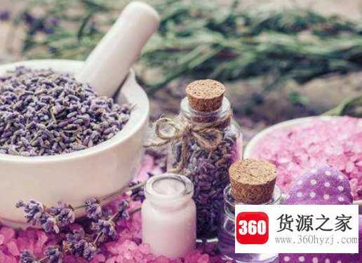 薰衣草精油的作用