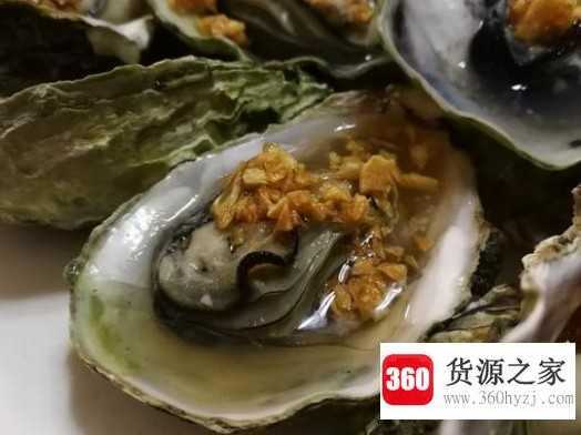 牡蛎和生蚝的区别