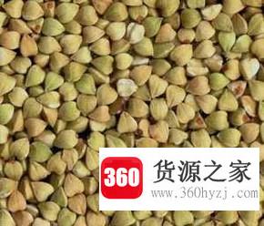 羊肉不能与什么同吃