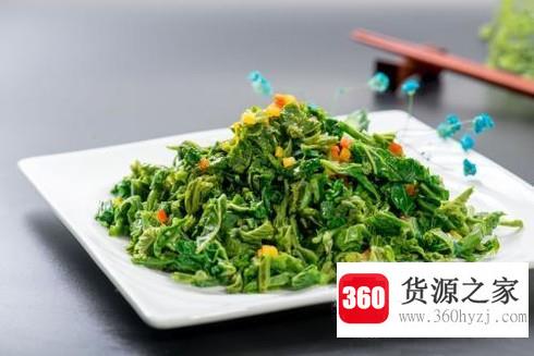 桑叶怎么做好吃
