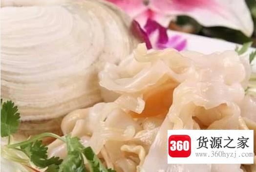 海蚌的家常做法
