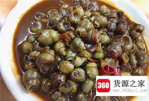 酱爆猫眼螺教程来啦