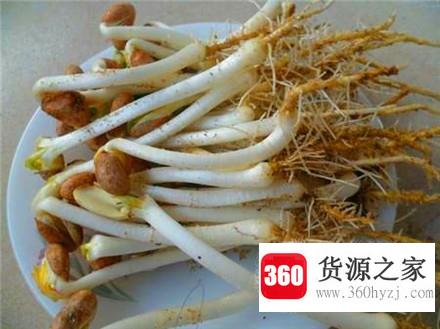 花生有哪些家常吃法