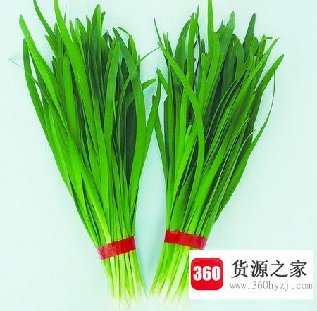 吃什么补肾