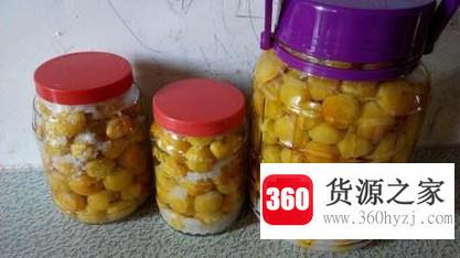 青梅子的腌制方法