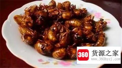 知了猴怎么做好吃